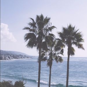 Meet your Posher, Isabel